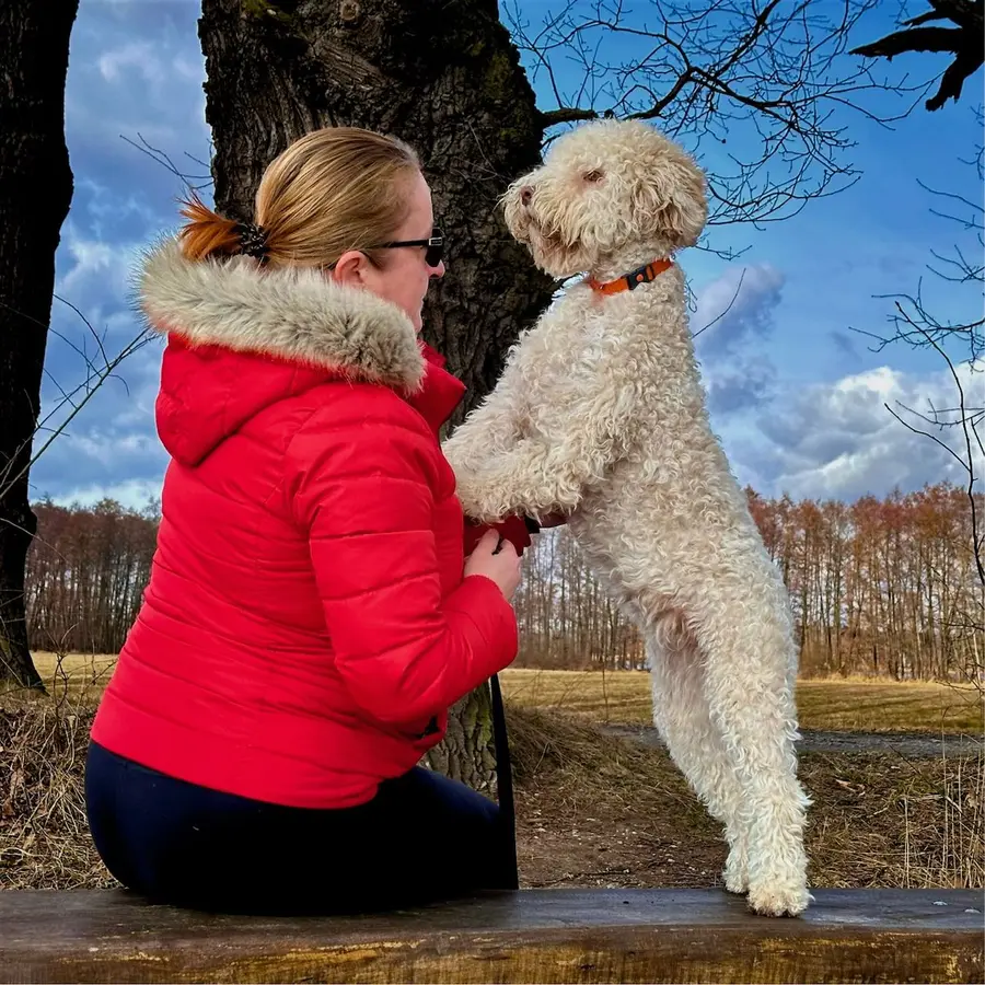 Žena se psem Lagotto Romagnolo venku