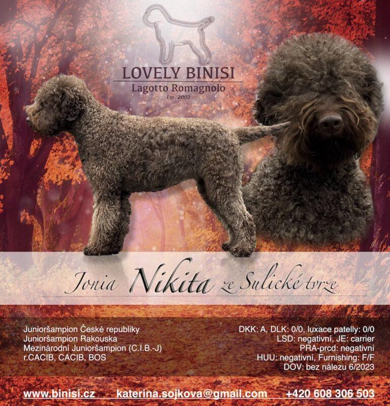 Nikitka je chovná fenka!